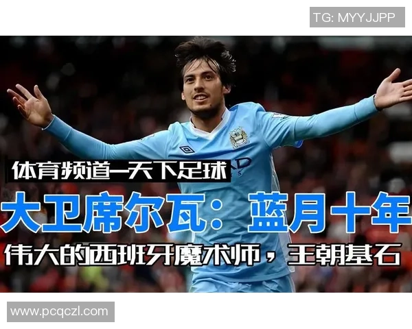 足球明星大卫的经典瞬间揭秘他的职业生涯与个人魅力的完美结合